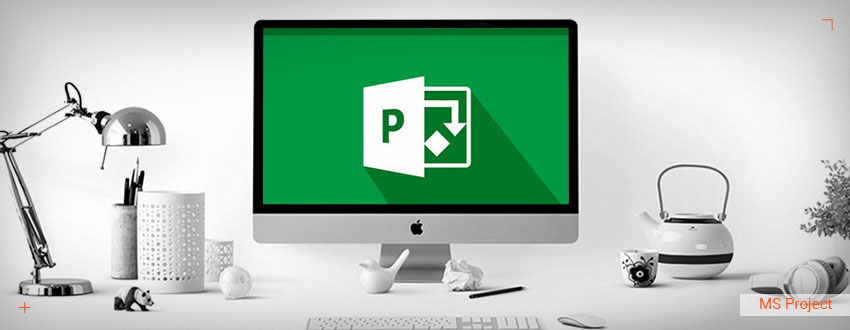 Actualizarea Proiectului folosind Microsoft Project