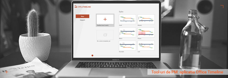 Tool-uri de Project Management: aplicatia Office Timeline