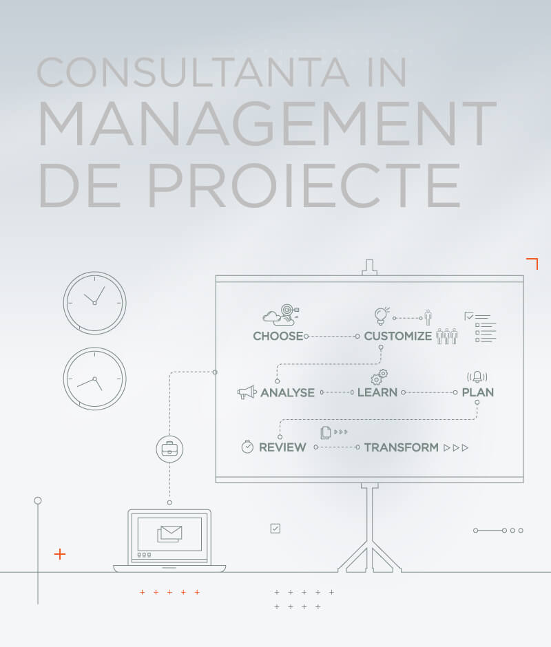 Consultanta in Management de Proiecte